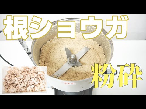 【生姜パウダー】根ショウガを粉砕（ハイスピードミル）