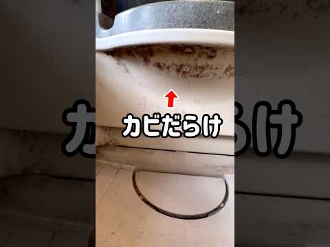 【風呂掃除】カビを短時間で落とす掃除術