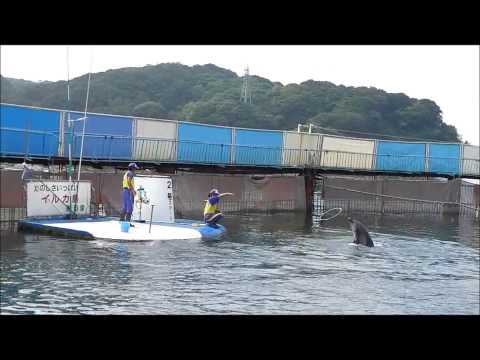 イルカ島　イルカショー　三重県鳥羽市