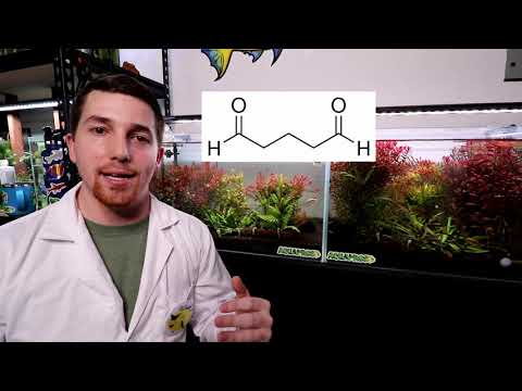 Does "Liquid CO2" Really Work? | Side-By-Side Aquarium Experiment |