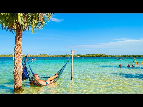 Crystal clear underwater paradise 2024. Mediterranean marine reserve.