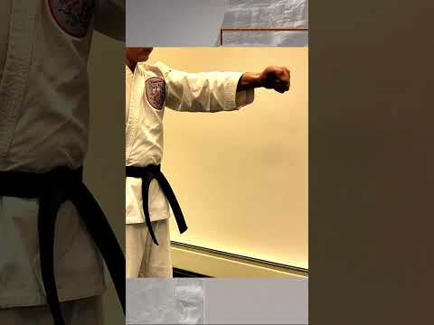 The Twist Punch in Martial Arts #twistpunch #martialarts #karate