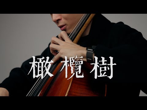 《橄欖樹 / Olive Tree》齊豫 - Cello cover 大提琴版本 -『cover by YoYo Cello』【華語懷舊歌曲系列】