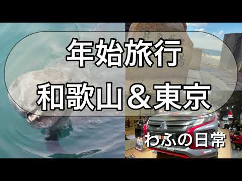 年始旅行と近況　くじらの博物館＆東京モーターショー編（車中泊の旅）