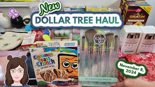 NEW DOLLAR TREE HAUL!  Amazing Finds!! November 8, 2024