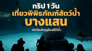 ทริป 1 วัน เที่ยวพิพิธภัณฑ์สัตว์น้ำบางแสน เปิดโซนใหม่อุโมงค์ใต้น้ำ