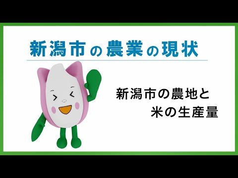 新潟市の農業の現状「新潟市の農地と米の生産量」