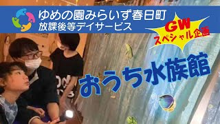 【みらいず春日町】GWスペシャル～！おうち水族館＆びより出前館