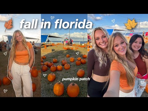 the perfect fall day *fall in florida* 🍂