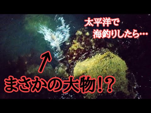 【北海道】太平洋の海で投げ釣り🌙11月下旬は何が釣れる？🐟️