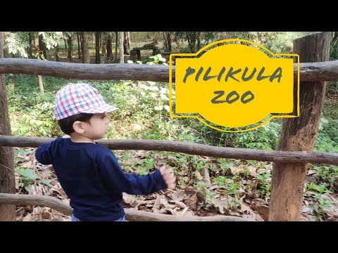 Exploring Pilikula Zoo with family|