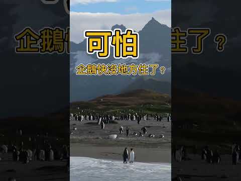 【臺北醫院】短影音系列-地球需要喘口氣，你還不減塑啊？