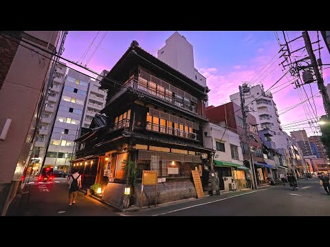 Tokyo Nezu, Sunset to Night Walk from Ueno, Japan • 4K HDR