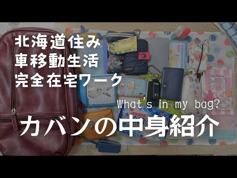 【What’s in my bag?】普段スーパーしか行かない北海道民のカバンの中身【完全在宅ワーク】　＃311