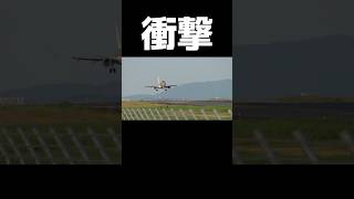 野鳥が飛行機に😱💦【衝撃映像】#飛行機事故 #航空機事故 #飛行場　#空港 #飛行機撮影 #airplane #airport #planespotting   #shorts