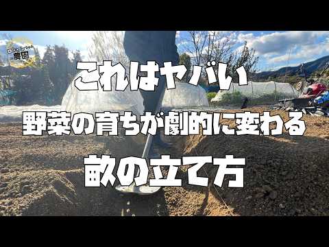 超重要！！野菜がうまく育つかは育てる前から決まってる！？【畝たて】【農家の家庭菜園】