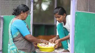 Strengthening Rural Livelihoods through Backyard Poultry Farming with Climate Adaptive Coop Solution