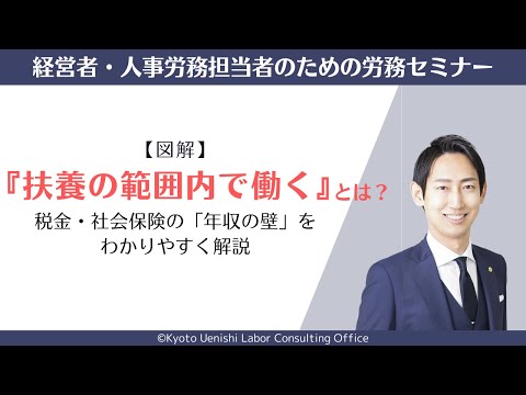 【図解】「扶養の範囲内で働く」とは？税金・社会保険の「年収の壁」をわかりやすく解説