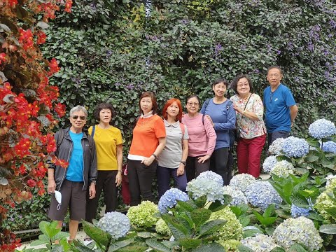 【马来西亚旅游】【旅程记录】我们一起去走走，你负责笑就好❤