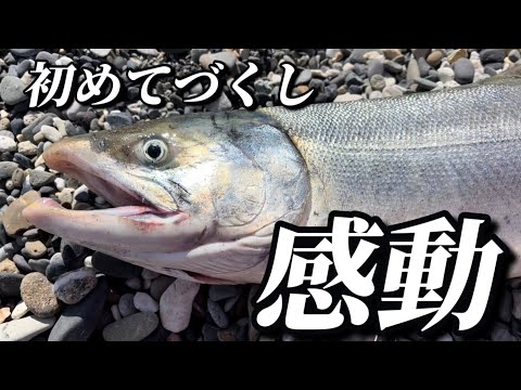 アキアジ（鮭）釣り！初めてづくしの釣行は感動のラスト！