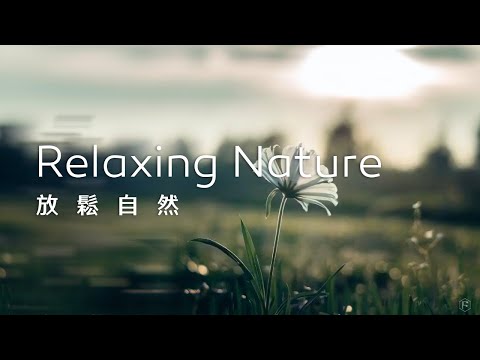 放鬆音樂Relaxing Music｜給自己一個獨處的時光，讓思緒隨風飄散，內心隨之平靜