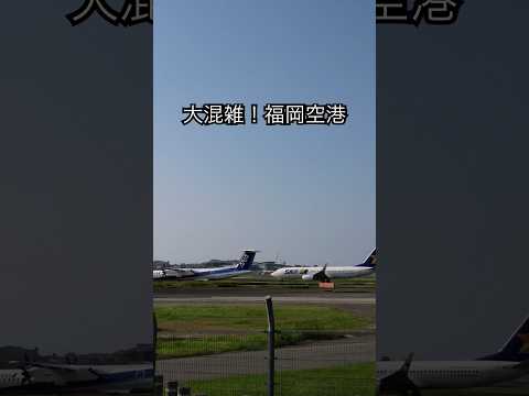 【滑走路が少ない】大混雑な福岡空港！国際線、JAL、ANA、スカイマーク、自衛隊機まで多様な飛行機が一気に見れます#福岡空港#japan #shorts