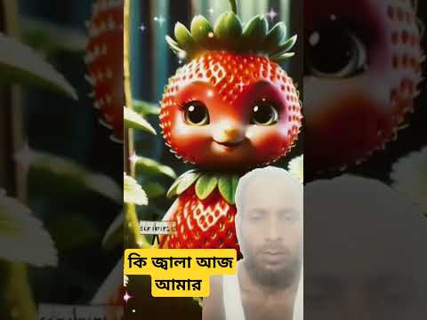 কি জ্বালা Aaja maar  #motivation #video #cat