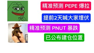 PNUT精准预测下跌，把握住建仓时机！大牛市预测，精准预测PEPE暴涨，喊大家提前布局！29号将录制PEPE视频，并公布详细的买入位置和建仓百分比。跟随猴哥的策略，让你轻松赚赚赚！祝大家财富自由！