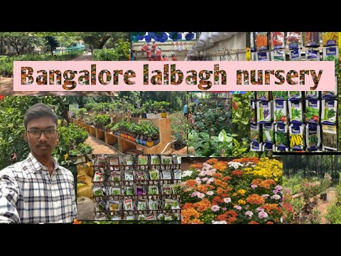 banglore lalbagh nursery