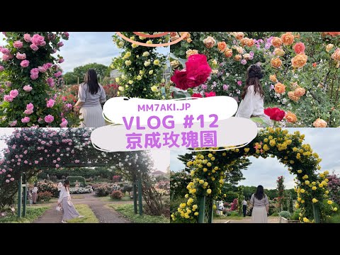 VLOG #12 京成玫瑰園｜1,600品種 10,000以上玫瑰｜浪漫玫瑰園 #在日港人 #女子旅 #日本旅行#京成玫瑰園 #rosegarden