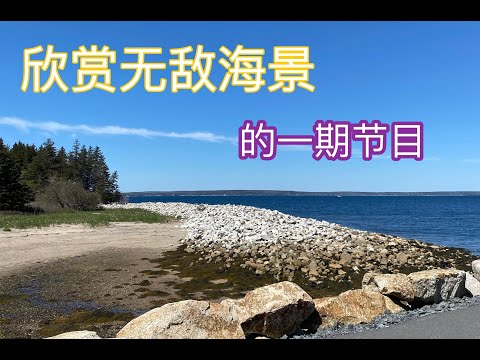 加拿大Halifax海参工厂外景｜无敌海景，欣赏海景的一期节目｜小鸭子很上镜