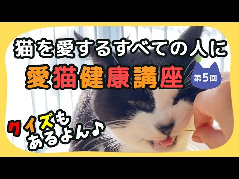 【猫しもべ検定(ΦωΦ)】「猫を愛する全ての人」に！愛猫健康講座のご紹介(第５回)