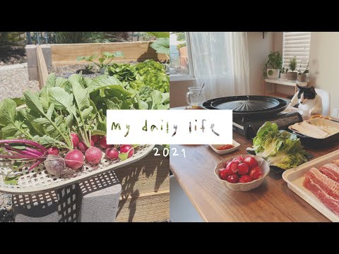 Vlog 那些在田園裡的小日子 | 採收櫻桃蘿蔔和奶油白菜🥬、買菜開箱、逛園藝店、在家韓式烤肉🍖、擼貓🐱