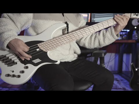 Volumes - Raad Soudani - Bend (Bass Playthrough)