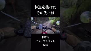 【閲覧注意】林道を抜けた先 #shorts