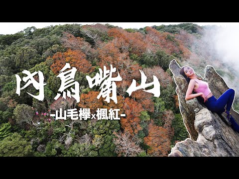 山毛櫸也“楓”狂～紅葉大爆發！北德拉曼內鳥嘴山秋冬好浪漫