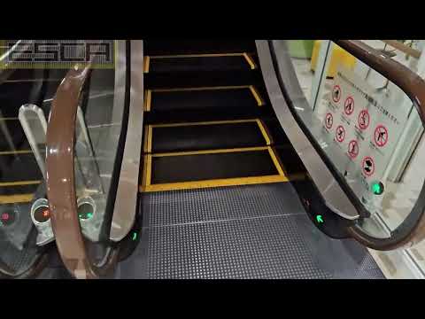 [New installation] 3 units Cross Mukogaoka Escalator 1F-R FIJITEC