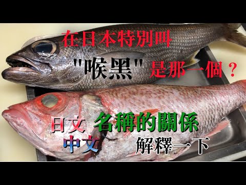 【喉嚨黑黑的好吃魚】這兩種魚的名稱"紅喉"黑喉"還有另外名字"喉黑"  是那一個？大家可以分別嗎？