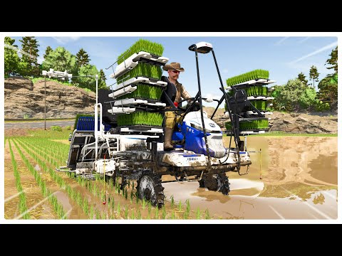 Getting Rich Farming Rice in Japan - Farming Simulator 25