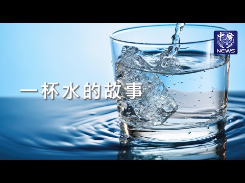 一杯水的故事｜Nico的聽見花開