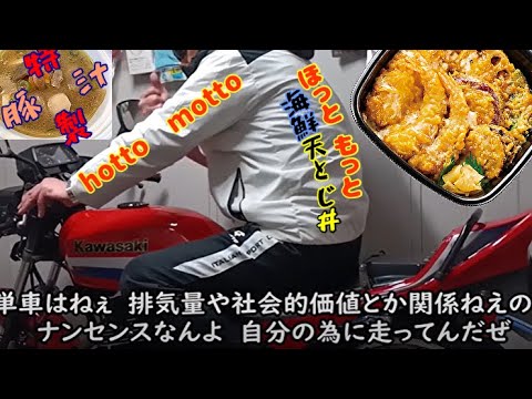 GPz250塗装完成と海鮮天とじ丼＋特製豚汁とゴハン粒星人