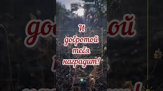 Доброе утро, пожелания доброго утра #доброеутро #пожеланиядоброгоутра