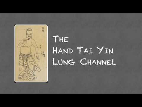 Points Review: Lung Channel (SEE DESCRIPTION FOR NEW VERSION OF THIS VIDEO)