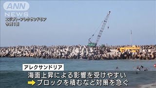 地球温暖化で海面上昇　エジプトで大規模対策(2021年10月23日)