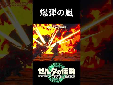 軍勢を爆破してみた【ゼルダの伝説 ティアーズ オブ ザ キングダム】 #shorts