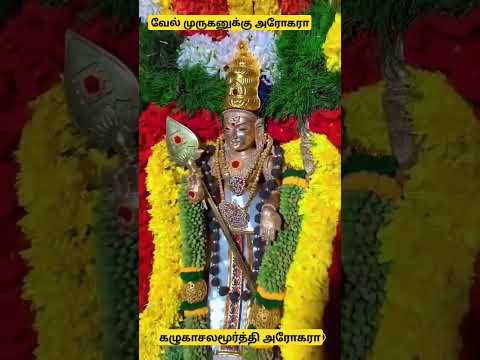 திருச்செந்தூர் முருகனுக்கு அரோகரா