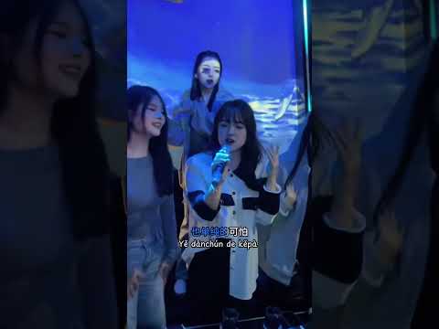 Người Ta《他他他》- 添儿呗 Cover