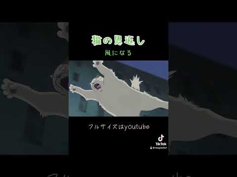 ｢風になる」つじあやの カバー 猫の恩返しよりshort ver.