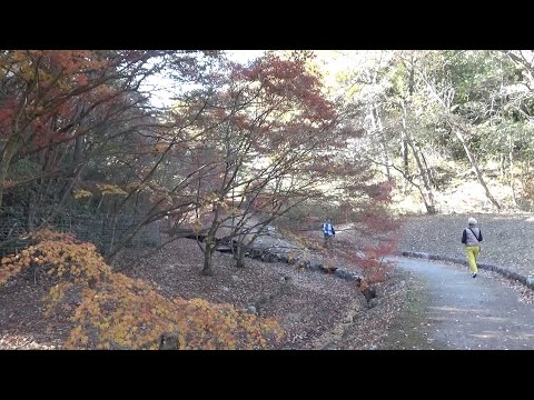 みやま公園散策   玉野市