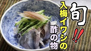 これは覚えたほうがいい！イワシの手開きから丁寧に教えます。『入梅イワシの酢の物』作り方。